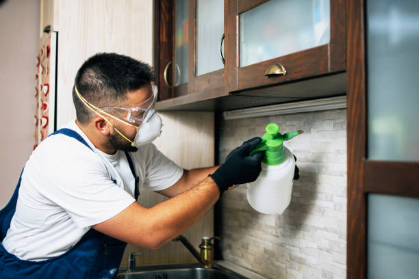 Best Pest Prevention Services  in Butler, IN