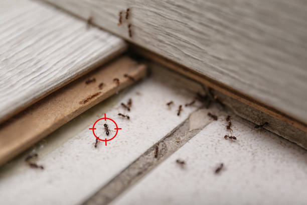 Best Pest Prevention Services  in Butler, IN