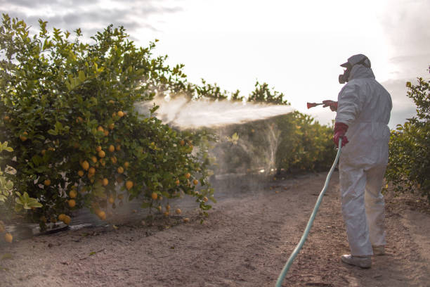 Best Wasp Removal Services  in Butler, IN