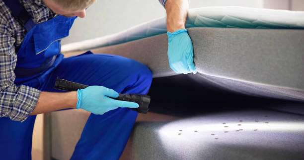 Best Pest Inspection Near Me  in Butler, IN