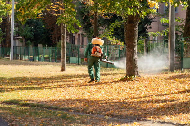 Best Cockroach Control Services  in Butler, IN