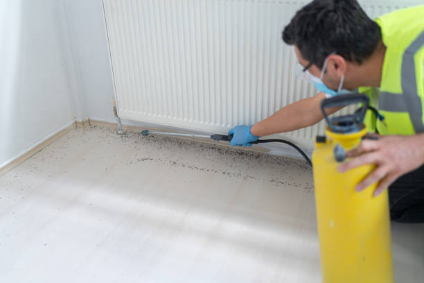 Best Ant Control Services  in Butler, IN