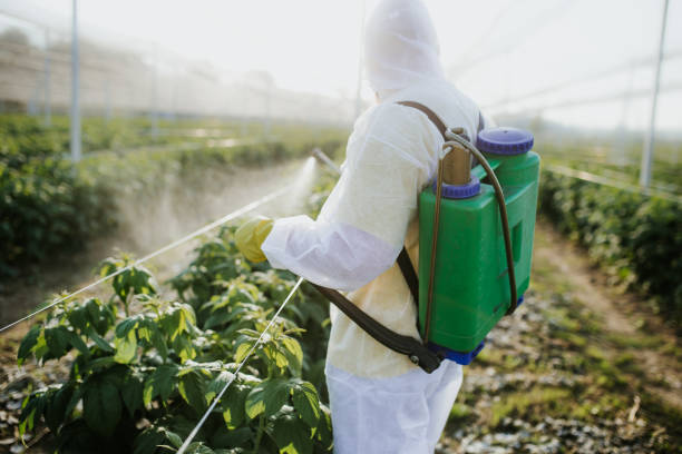 Best Pest Control for Restaurants  in Butler, IN